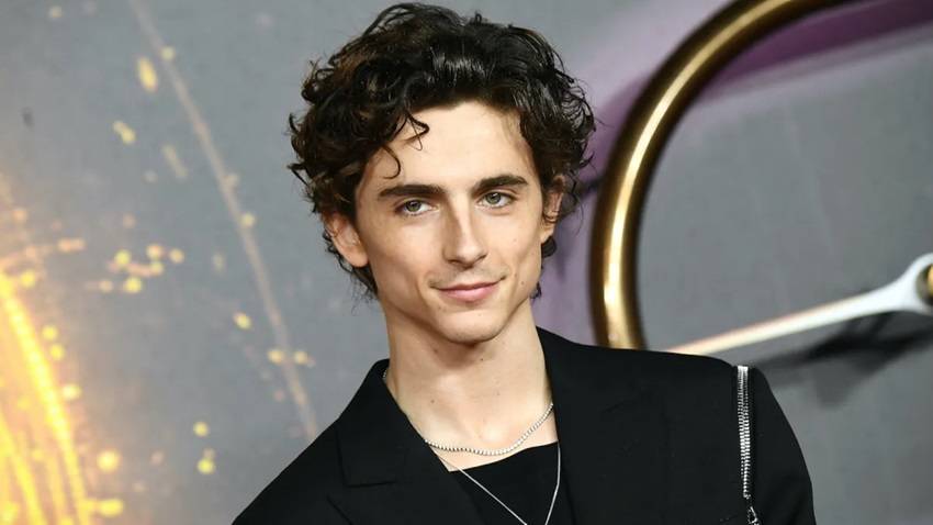 Timothée Chalamet Beauty Standards Hollywood Icon
